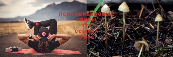 стафф Белокуриха