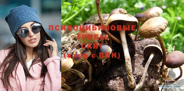 бошки Белоозёрский
