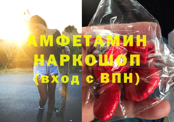 ПСИЛОЦИБИНОВЫЕ ГРИБЫ Верея