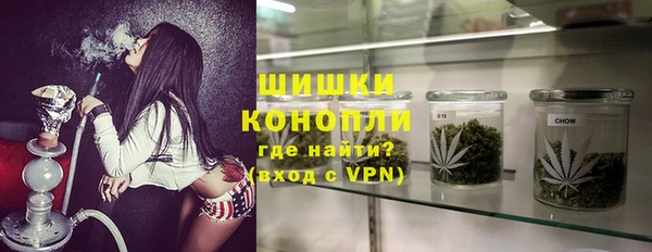 стафф Белокуриха