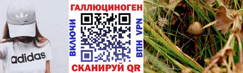 мориарти официальный сайт  Волосово  Галлюциногенные грибы Magic Shrooms 